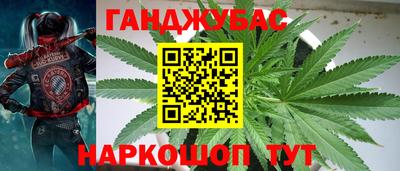 СК Шахты