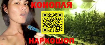СК Шахты